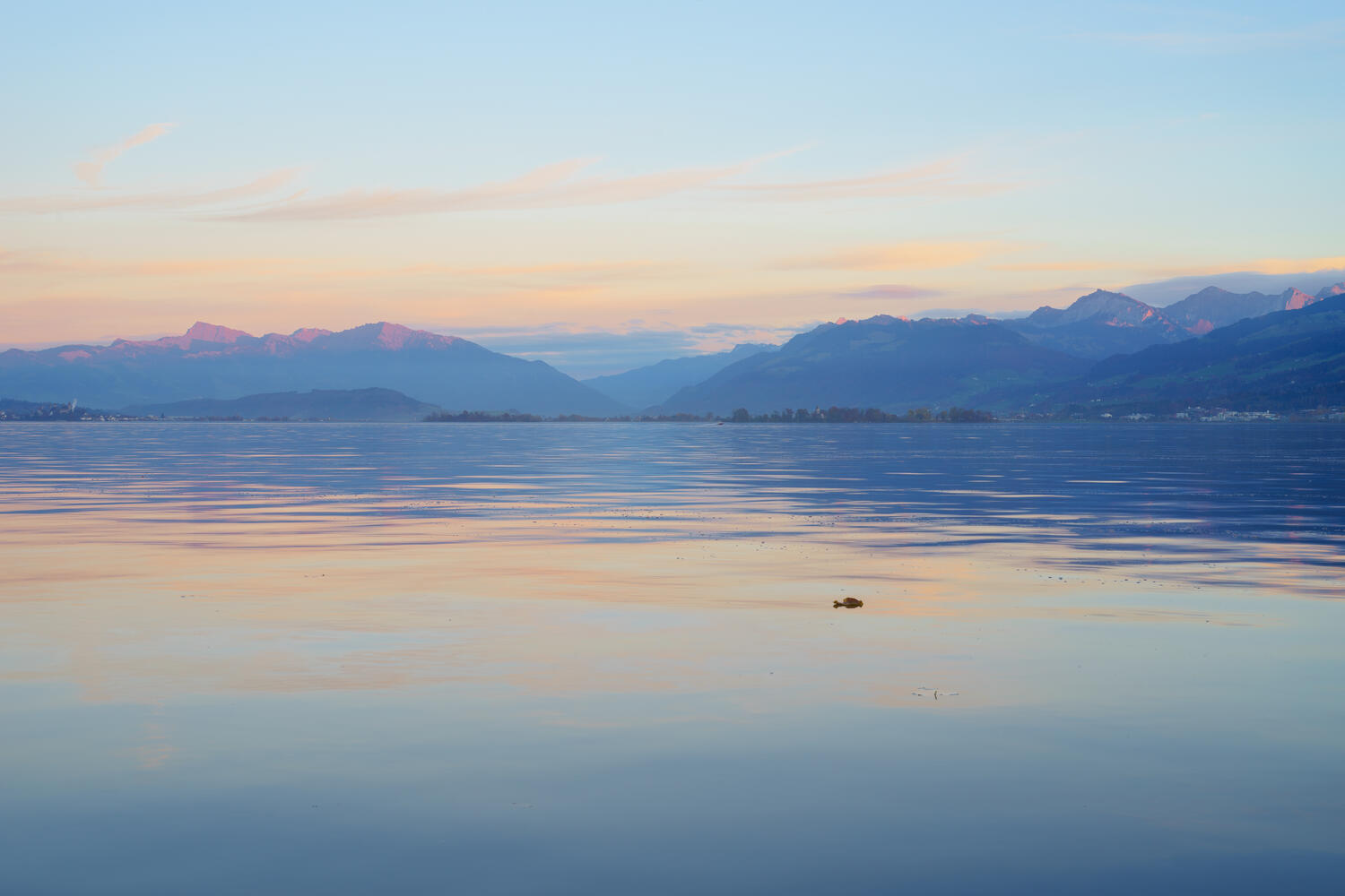 House View - November 2025